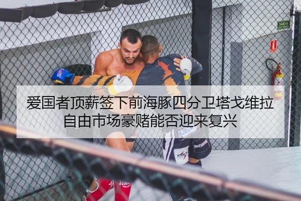 爱国者顶薪签下前海豚四分卫塔戈维拉 自由市场豪赌能否迎来复兴